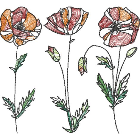 Mohnblumen Strichzeichnung farbig 13x18
