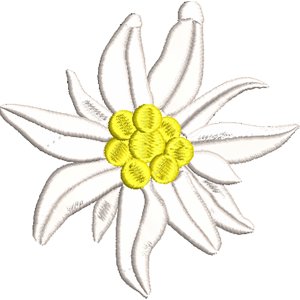 Edelweiss Stickdatei Blumenstickerei Alpen-Edelweiss 10x10