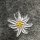 Edelweiss Stickdatei Blumenstickerei Alpen-Edelweiss 10x10